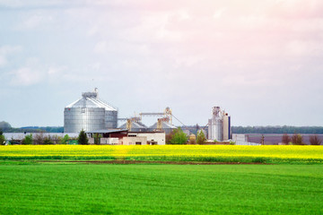 Agricultural Silos - Building Exterior, Storage and drying of grains, wheat, corn, soy, sunflower against the blue sky with rice fields.