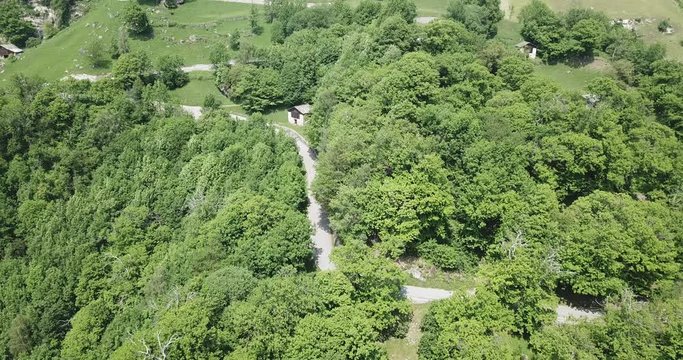 route au milieu des plantations de ch&acirc;taignes - Val Bregaglia