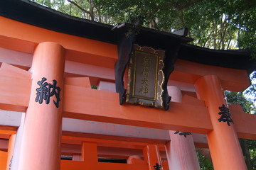 鳥居5