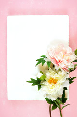 Pink and white peony flowers decorated border on pink textured background with negative copy space. Modern stylish flat lay, top view minimalism creative layout. Vertical orientation.