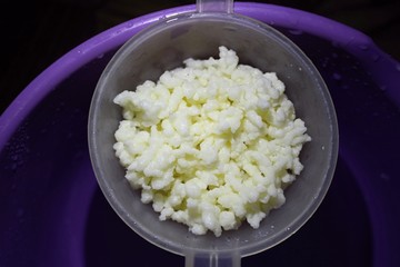 Kefir grains for making homemade kefir drink.