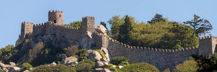 Fotobehang Medieval old european castle on top of a mountain © rostovdriver