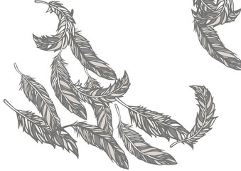 Fototapeta premium 羽根をデザインした背景素材