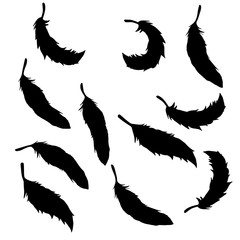 Obraz premium 羽根をデザインした背景素材