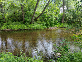 Spring Landscape of Iskar River near Pancharevo lake, Bulgaria
