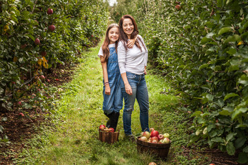 Portrait of little girl and beautiful mother in organic apple orchard happy and having fun.