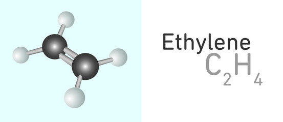 Ethylene (C2H4) gas molecule. Stick model. Structural Chemical Formula and Molecule Model. Chemistry Education