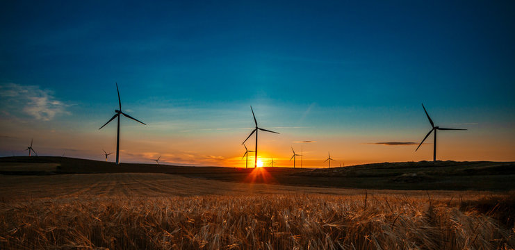 aerogenerador en ocaso trigo