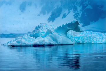 Snowing Floating Blue Iceberg Reflection Paradise Bay Skintorp Cove Antarctica