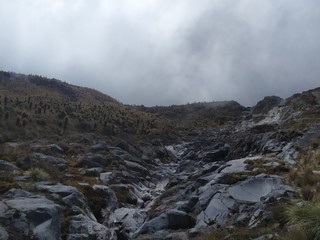 mountain landscape in the fog