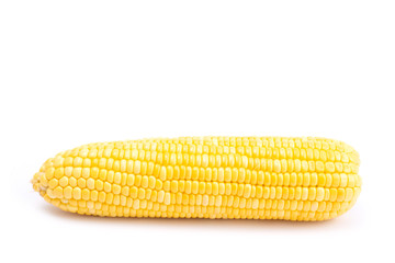 Fresh corn isolated on white background