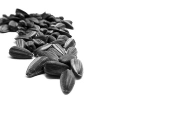 Sunflower seeds isolated on a white background.