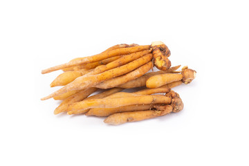 Fingerroot (Chinese's Ginger) isolated on white background.