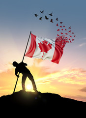 Canada flag turn to birds while being planted by a man on a hill during sunrise.