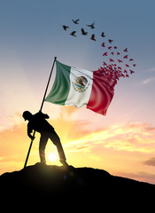 Mexico flag turn to birds while being planted by a man on a hill during sunrise.