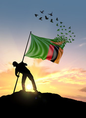 Zambia flag turn to birds while being planted by a man on a hill during sunrise.
