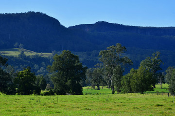 Fototapeta premium mountain landscape with trees