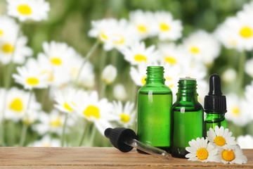 Obraz na płótnie Canvas Bottles of essential oil and chamomile flowers on wooden table against blurred background. Space for text