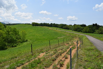 月山高原牧場 ／ 山形県鶴岡市羽黒町にある月山高原牧場は、約100haの緑のジュウタンが広がり、雄大な高原の中で牛や羊を眺められます。高原からの眺めは最高で、ひそかな観光ポイントになっています。