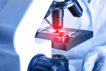 Scientist examining blood sample with microscope, closeup. Laboratory analysis