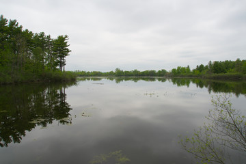 Fototapeta na wymiar A lake on a grey day