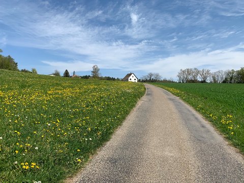 Landwirtschafts - Weg / Strasse am Horgenberg - Sihlwald, mit Wiese und blauem Himmel, Bezirk Horgen