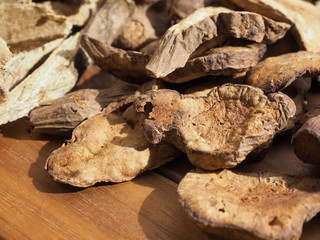 동양의학, 동양의 전통의학 약재
