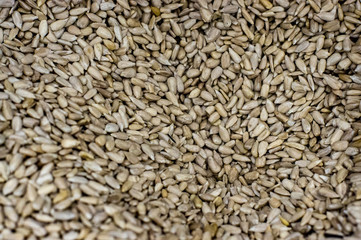 Sunflower Seeds Texture As Background.