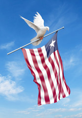 Liberia flag on a pole is carried by a bird while flying against a blue sky background - 3D illustration.