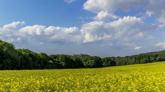 Timelapse of a field where oilseed rape is grown overlooking the surrounding countryside and the landmark of Helfstyn Castle with fast moving clouds in the sky during a sunny day.