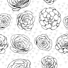Vector illustration of a seamless pattern with Echeveria stone rose flowers. In the outline style on a white background. For Wallpaper, postcards, textiles, print, banners, wrapping paper, etc