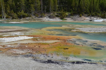 Late Spring in Yellowstone National Park: Crackling Lake in the Porcelain Basin Area of Norris Geyser Basin