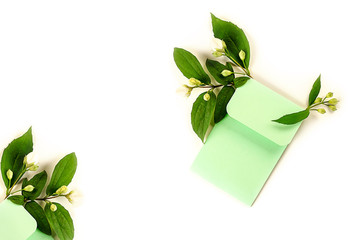 Blooming jasmine branch, flowers and buds. Minimal composition with a green envelope on a light background. Mock-up, creative minimalism, flat lay. Top view, copy space.