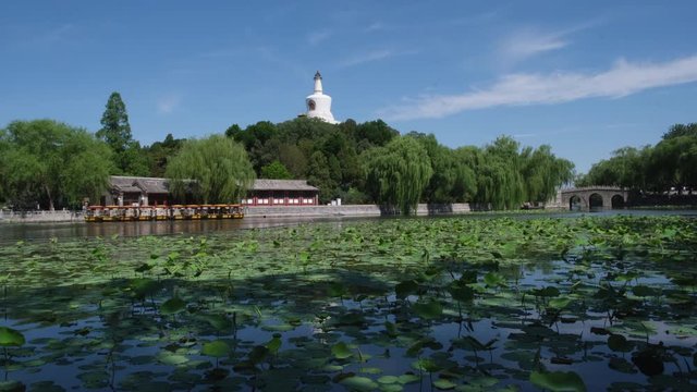White Pagoda with foreground of trees, lotus and blue lake in Beihai Park, Beijing, China.