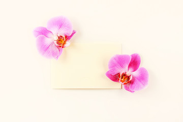 Orchid flowers with pink envelope on a light background. Minimal composition. Mock-up, creative minimalism, flat lay. Top view, copy space.