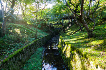 A shady green garden to relax during the bright morning hours.