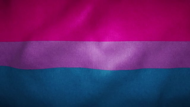 bisexual pride flag waving in the wind