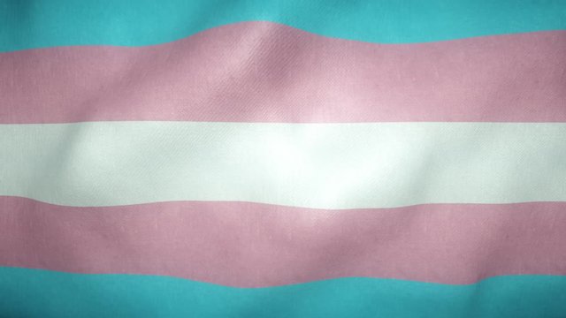 Transgender pride flag waving in the wind