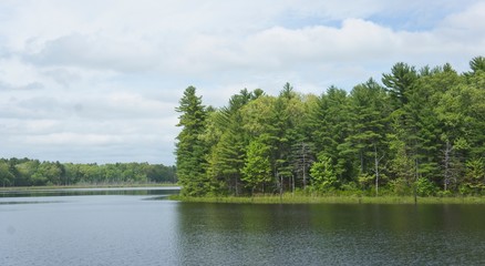 Fototapeta na wymiar Puffin Pond at Assabet Wildlife Refuge in Sudbury, Massachusetts