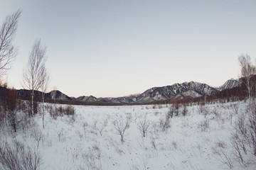japan landscape tree sky land