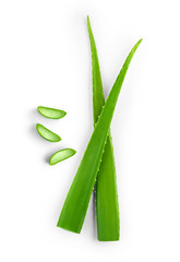 Top view of  fresh sliced Aloe Vera leaf isolated on white background - obrazy, fototapety, plakaty