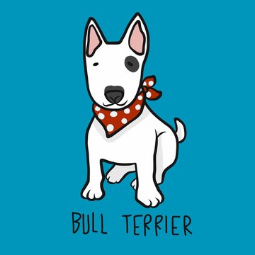 Bull Terrier dog wear red scarf cartoon vector illustration