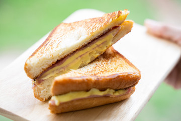 home made ham and cheese sandwich