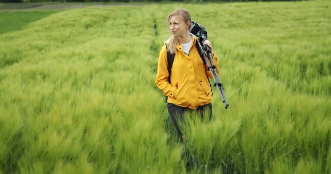 Beautiful woman in yellow jacket walking among green wheat field and carrying on big backpack and tripod for photography. Female photographer looking for new places for taking pictures.