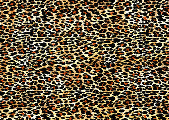 abstract exotic leopard skin texture
