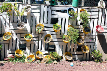 wood wall with plant decoration