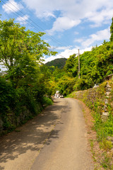 日本の田舎道