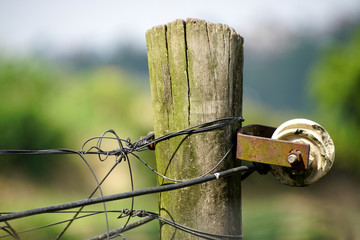 Electricity Pole with Wires Close-up