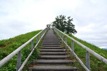 Obraz premium Stairway up the green hill