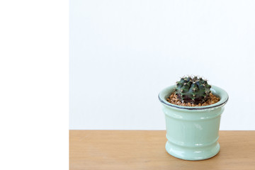 Beautiful cactus in pot put on wood table with Stay home.